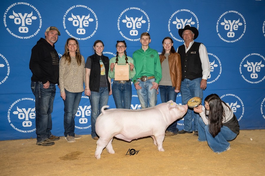 Reserve Chester Barrow OYE Reserve Chester Barrow OYE