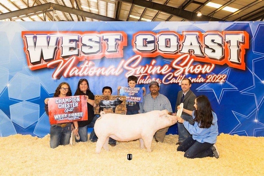 5ht Overall Gilt West Coast Nationals 5ht Overall Gilt West Coast Nationals