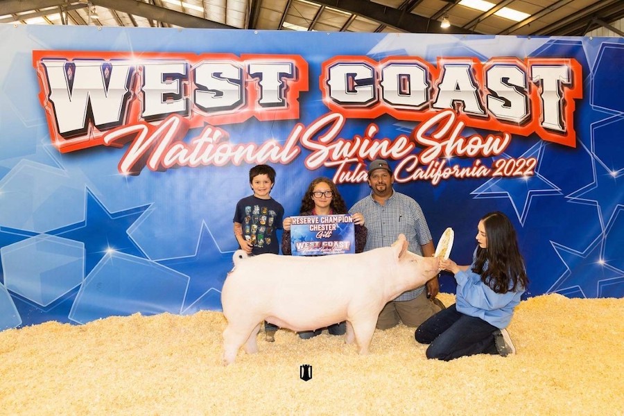 Reserve Champion Chester Gilt West Coast Nationals Reserve Champion Chester Gilt West Coast Nationals