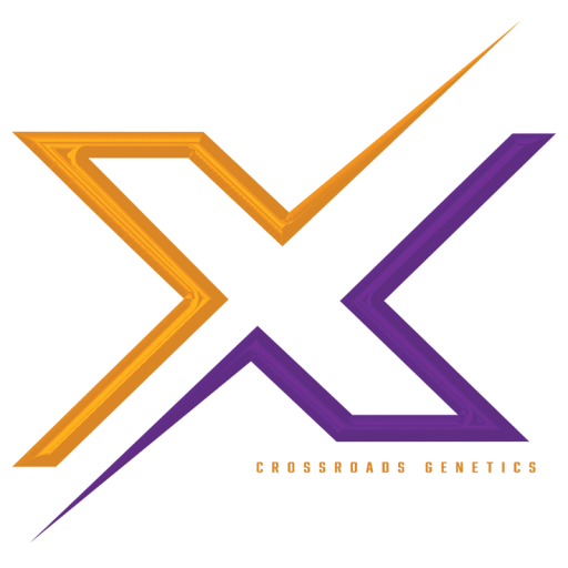 4th Overall Bred & Owned Yorkshire Gilt – 2025 The Exposition