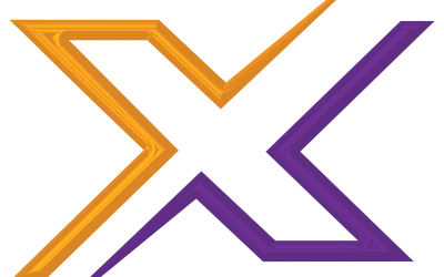 Champion Yorkshire Market Hog – 2024 Nebraska State Fair 4-H Show