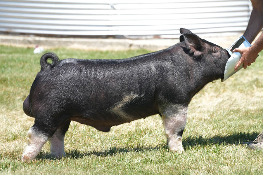 Intermission Intermission