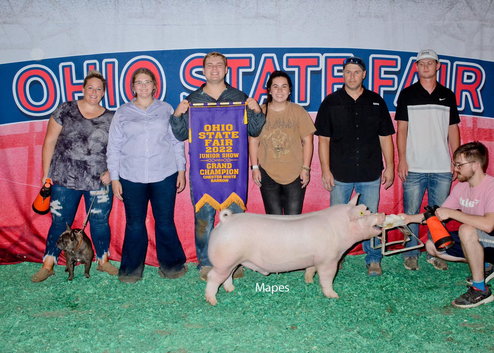 Bartow Champ Chester Ba OHSF PERFECT FIT 5ht Overall Gilt West Coast Nationals