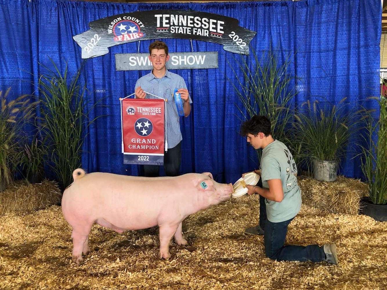 Cline Champion Chester Ba TNSF ENTERPRISE 5ht Overall Gilt West Coast Nationals