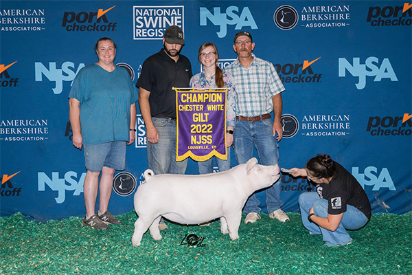 Grimes-Champ-Chester-Gilt-NJSS-CUSTOM-MADE Champion Light OPB The Revival