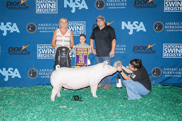 Hankes-Res-Chester-Gilt-NJSS-CUSTOM-MADE Champion Light OPB The Revival