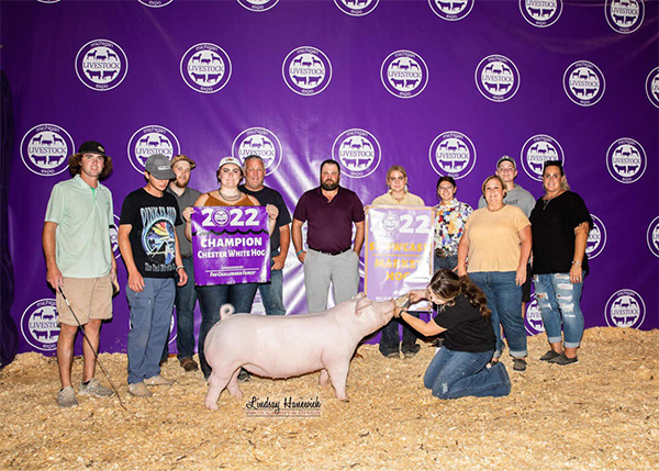 Hoppa-8th-Ovr-Mkt-Hog-MLE-PERFECT-FIT 3rd Chester Gilt Texas Elite