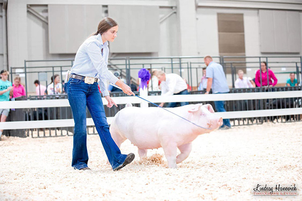 Horton-3rd-Ovr-Chester-MLE-PERFECT-FIT 3rd Chester Gilt Texas Elite