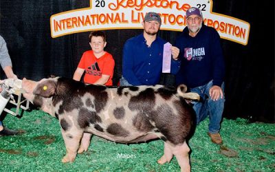Supreme Champion Gilt & Champion Duroc – 2023 Keystone International Livestock Expo