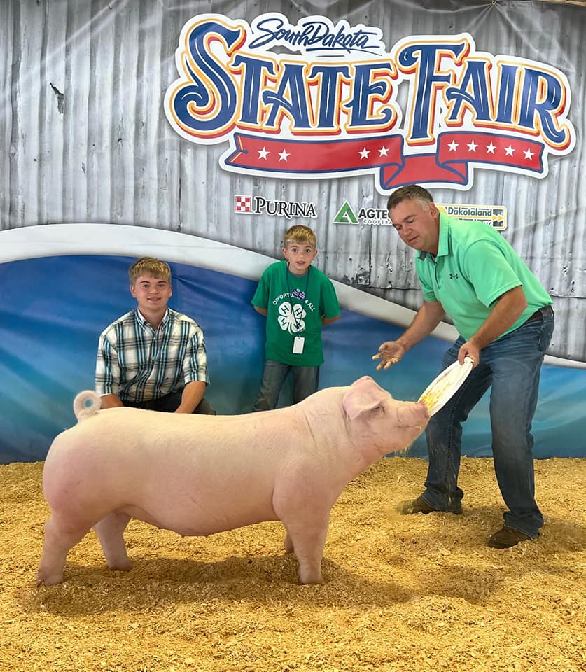 Kralicek Res Chester Gilt SDSF PERFECT FIT 3rd Chester Gilt Texas Elite