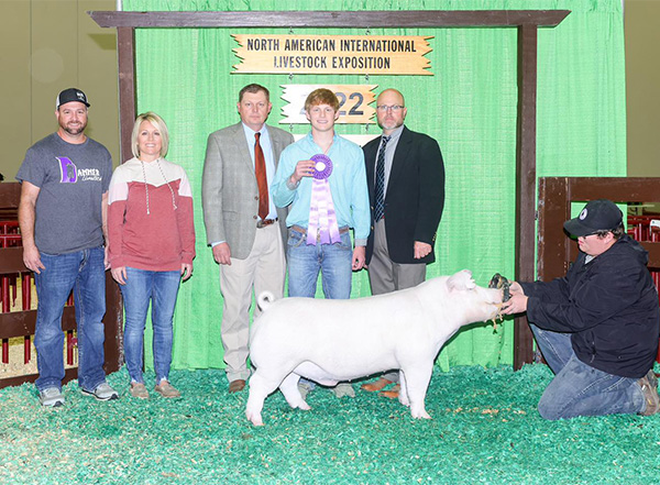Lancast-Champ-Chester-Ba-NAILE-CUSTOM-MADE 3rd Chester Gilt Texas Elite
