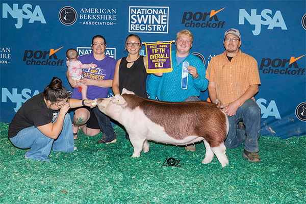McWherter-5th-Ovr-Herf-Gilt-NJSS-MEGATRON Reserve Hereford Gilt OYE
