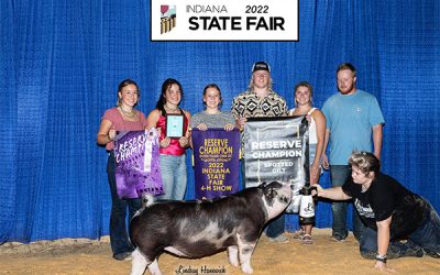 Reserve Champion Spot Gilt – 2023 Indiana State Fair Jr Show