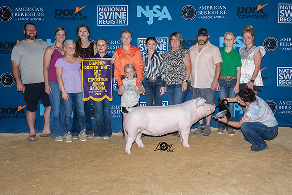 Swaim-Champ-Chester-Gilt-Expo-PERFECT-FIT Champion Light OPB The Revival