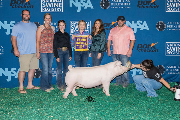 Swain-4th-Ovr-Chester-Gilt-NJSS-PERFECT-FIT Champion Light OPB The Revival