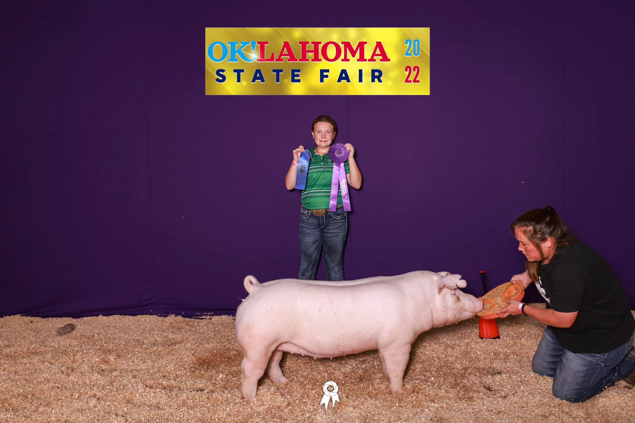 Wilson Champ Chester Gilt OKSF CUSTOM MADE 5ht Overall Gilt West Coast Nationals