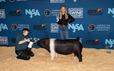 4th Overall Division 5 Crossbred Gilt –  2023 NJSA Southeast Regional