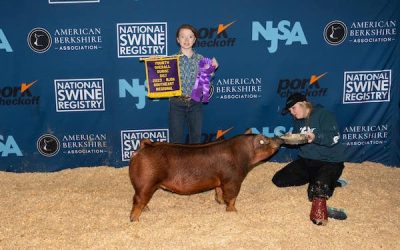 4th Overall Duroc Gilt –  2023 NJSA Southeast Regional