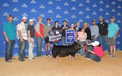 Champion Dark OPB Barrow – 2023 Rodeo Austin