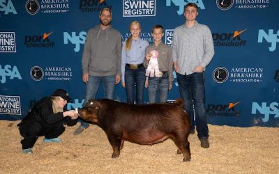 5th Overall Division 4 Duroc Gilt –  2023 NJSA Southeast Regional