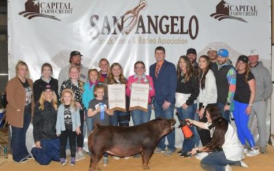 Reserve Supreme Overall Gilt & Champion Duroc  – 2023 San Angelo Stock Show