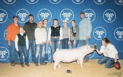6th Overall Chester Gilt – 2023 OYE