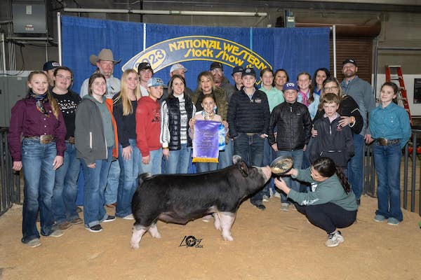 Champion Berkshire Market Hog 2023 National Western