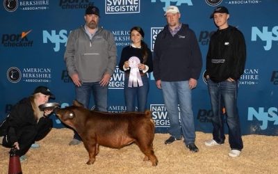Reserve Division 1 Duroc Gilt  – 2023 NJSA Southeast Regional