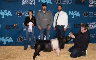 Champion Division 1 Crossbred Gilt –  2023 NJSA Southeast Regional