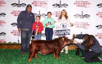 Champion Duroc Barrow –  2023 Fort Worth Stock Show