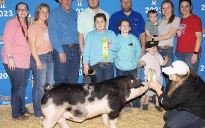 Premium Sale Barrow – 2023 Houston Livestock Show