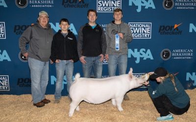 5th Overall Division 2 Yorkshire Gilt –  2023 NJSA Southeast Regional
