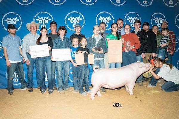 Supreme Overall Purebred Gilt & Champion Chester 2023 OYE