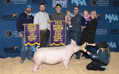 5th Overall Barrow & Champion Yorkshire  – 2023 NJSA Southeast Regional