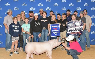 Champion White OPB Barrow – 2023 Rodeo Austin
