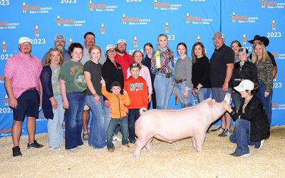 Premium Sale Barrow – 2023 Houston Livestock Show