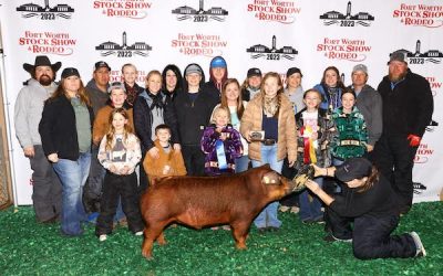 Reserve Champion Duroc Barrow  – 2023 Fort Worth Stock Show