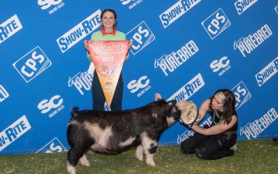 Reserve Champion Spot Market Hog  – 2023 National Western