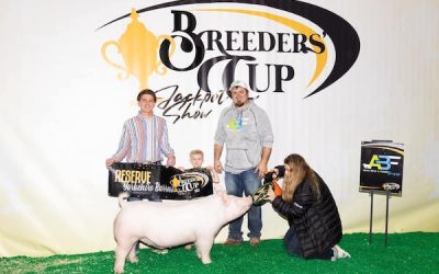 Reserve Yorkshire Barrow –  2023 Breeders’ Cup