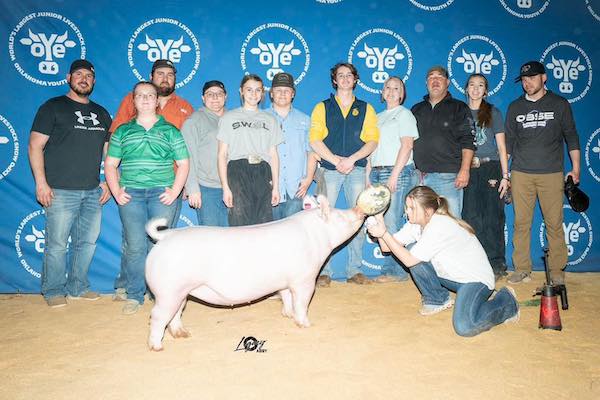 4th Overall Yorkshire Gilt – 2023 OYE