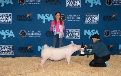 Reserve Division 1 Yorkshire Gilt –  2023 NJSA Southeast Regional