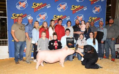 4th Overall Yorkshire Gilt –  2023 San Antonio Stock Show