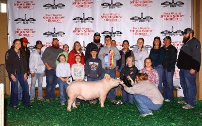 Reserve Champion Yorkshire Gilt  – 2023 Fort Worth Stock Show