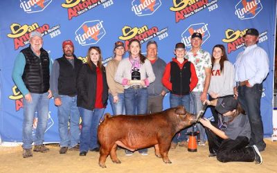 Reserve Champion Middleweight Duroc Barrow –  2023 San Antonio Stock Show