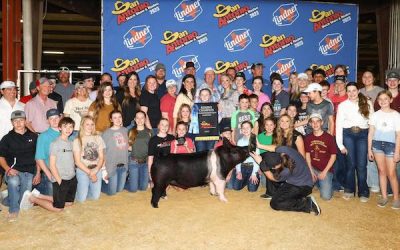 Reserve Champion Hampshire Barrow – 2023 San Antonio Stock Show