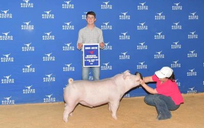 Reserve Champion White OPB Barrow –  2023 Rodeo Austin