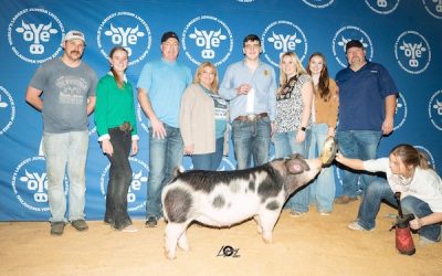 5th Overall Spot Gilt – 2023 OYE