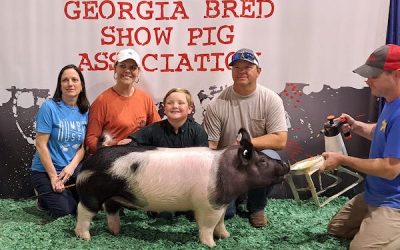 3rd Overall Division 1 Crossbred –  2023 Georgia National Jr Livestock Show – GA Bred