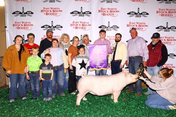 Grand Overall Gilt & Champion Yorkshire  – 2023 Forth Worth Stock Show