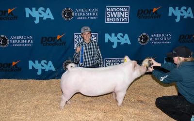 4th Overall Division 1 Yorkshire Gilt  – 2023 NJSA Southeast Regional